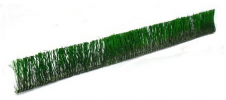 Mini cerca viva verde Gold